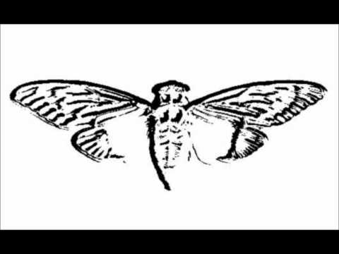 Youtube: Voice On Phone - Cicada 3301