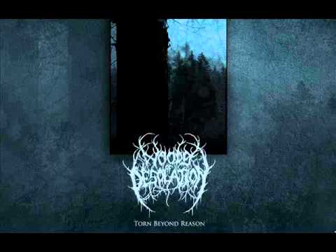 Youtube: Woods of Desolation - An Unbroken Moment