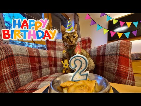 Youtube: NALA Cat's 2nd Birthday 🎂🎈