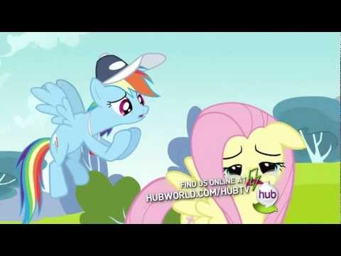 Youtube: Fluttershy - I'm sorry, Rainbow Dash, I just don't have the courage right now...