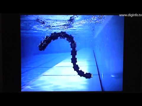 Youtube: Amphibious snake robot - ACM-R5 : DigInfo
