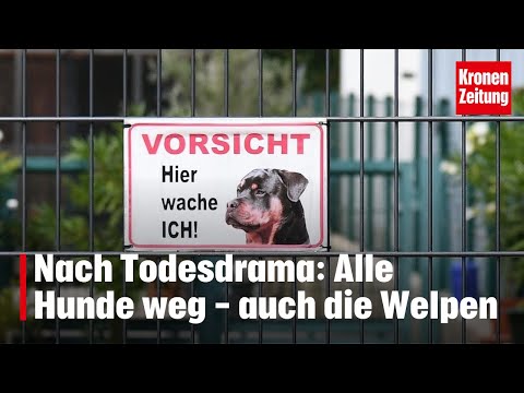 Youtube: Naarn: Alle Hunde weg - auch die Welpen | krone.tv NEWS