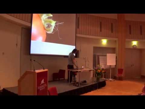 Youtube: Harald Kautz Vella 2015 Impulse fuer die Neue Zeit