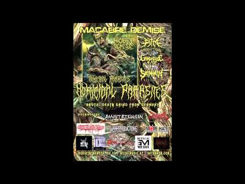 Youtube: Macabre Demise - Homicidal Parasites