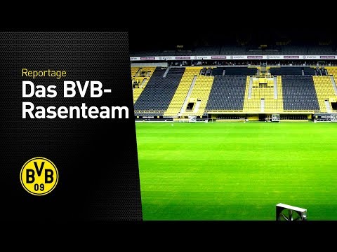 Youtube: Wie entsteht der beste Rasen Deutschlands? | Pitch of the Year | Signal Iduna Park