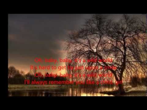 Youtube: Cat Stevens -  Wild World (with Lyrics)