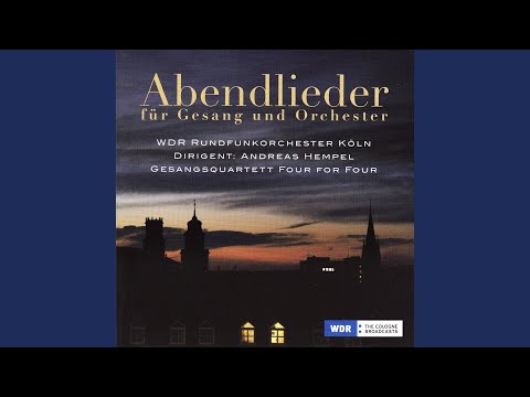 Youtube: Abendstille überall