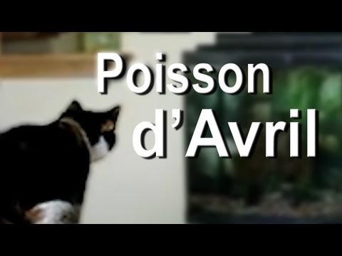 Youtube: POISSON D'AVRIL - PAROLE DE CHAT