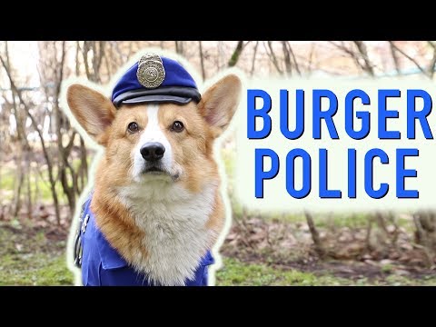 Youtube: BURGER DETECTIVE - Topi the Corgi