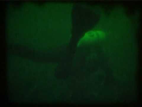 Youtube: Drowning together dying alone