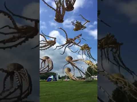 Youtube: These octopus kites are insane!