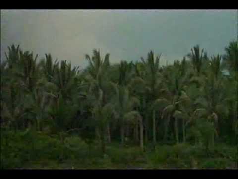 Youtube: The Doors - The End (Apocalypse Now)