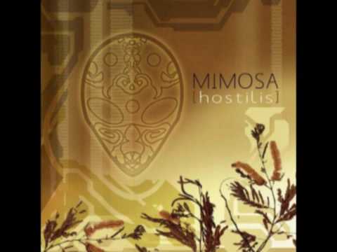 Youtube: Mimosa - Misconceptions