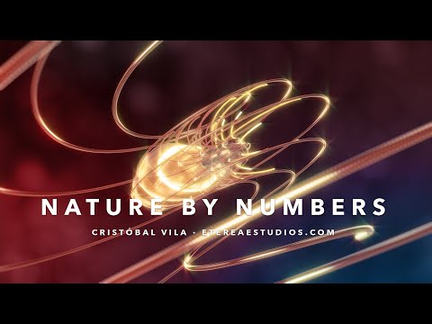 Youtube: Nature by Numbers