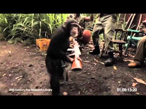 Youtube: Monkey shots military