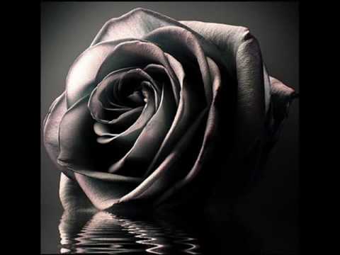 Youtube: The Rose- LeAnN  RiMeS