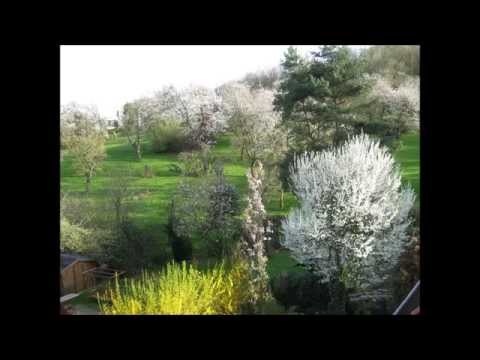 Youtube: Vivaldi Frühling