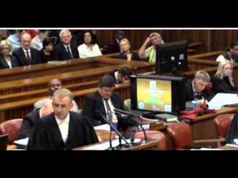 Youtube: Oscar Pistorius trial Day 4: Dr Johan Stipp testimony