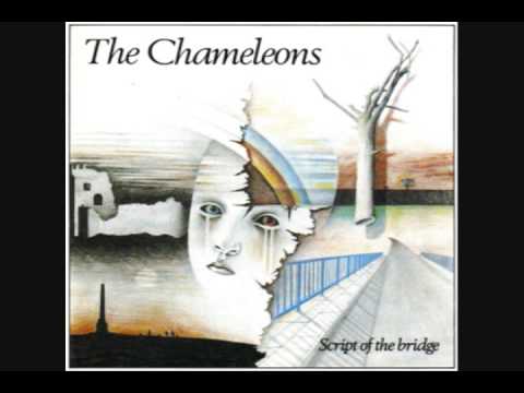 Youtube: The Chameleons - Paper Tigers