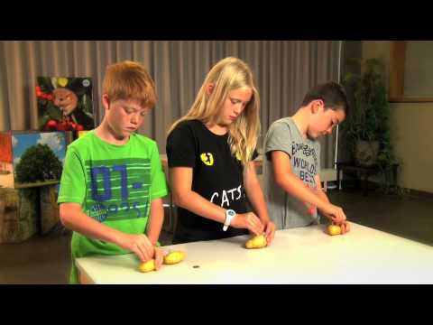 Youtube: Produis de l'énergie avec des pommes de terre