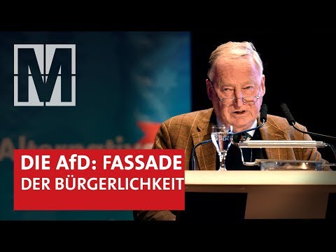 Youtube: „Selbstverharmlosung“: Die Medienstrategie der AfD