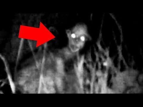 Youtube: 5 Mysterious Creatures Caught On Camera : Top 5 STRANGE Creatures