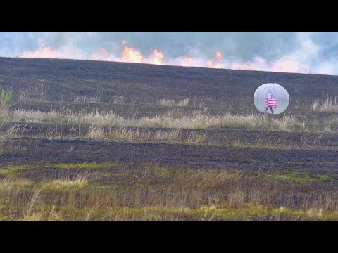 Youtube: The Flaming Lips -  Flowers of Neptune 6 [Official Music Video]