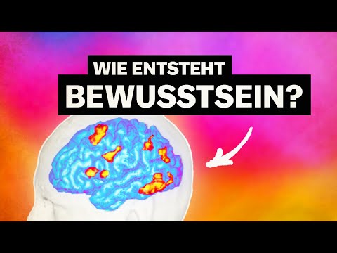 Youtube: Warum du nicht mehr bist als Materie