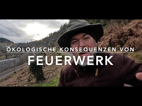 Youtube: Feuerwerk - Wie schlimm ist es denn nun?