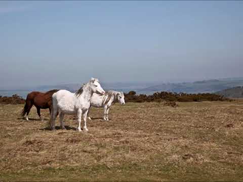 Youtube: Mike Oldfield Hergest Ridge 1  Part