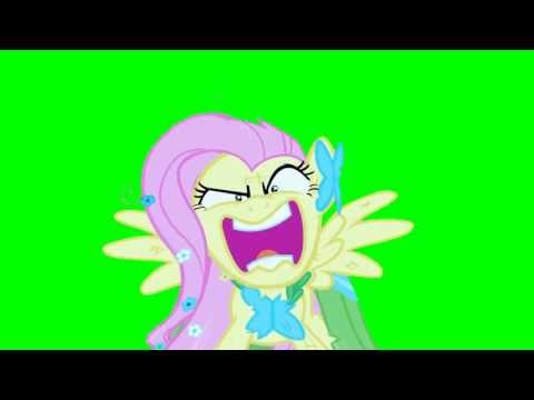 Youtube: Fluttershy: "You're going to LOVE ME!" - Green Screen Ponies