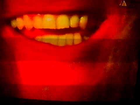 Youtube: Rinderwahnsinn - Ich Spuck Blut Video (1994)