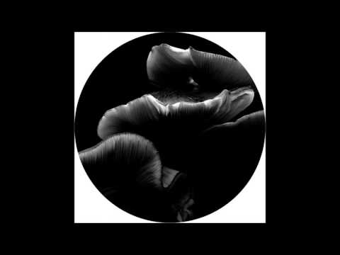 Youtube: Joachim Spieth - Shadows [AFFIN35LTD]