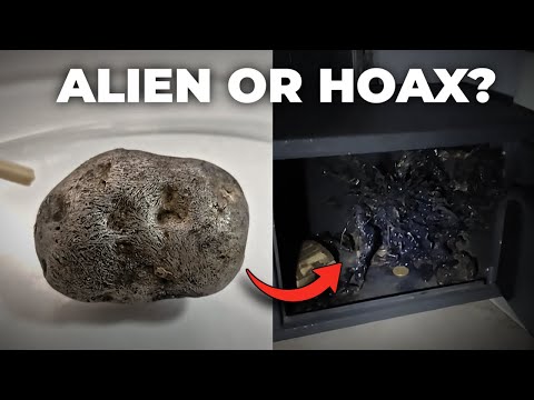 Youtube: Mann beobachtet, wie außerirdische Kreatur im Meteoriten in Panama wächst