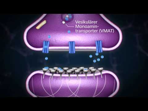 Youtube: Methylphenidat - so funktioniert es