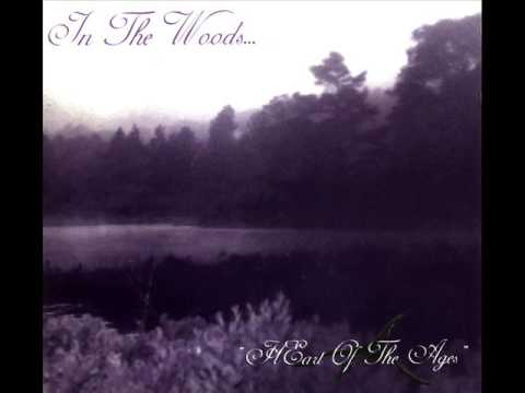 Youtube: In The Woods - The Divinity Of Wisdom