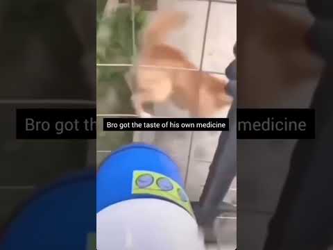 Youtube: bro got a taste of his own medicine