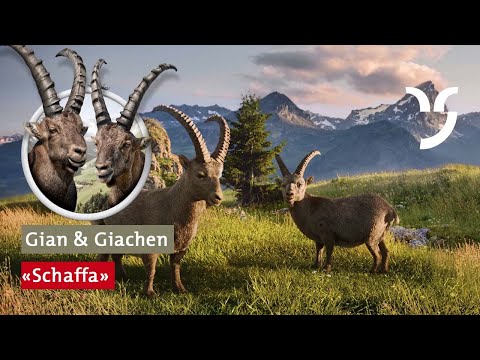 Youtube: Steinbock-Spot "Schaffa"