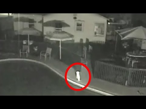 Youtube: Mysterious Nightcrawler Caught On Tape | Nightcrawler Sighting