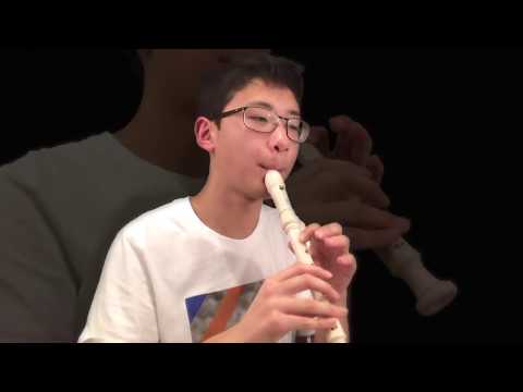 Youtube: Careless Whisper on recorder