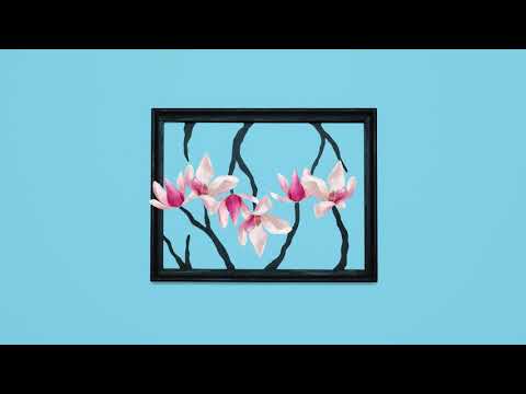 Youtube: NORBERT SCHNEIDER "MAGNOLIE" - Official Music Video