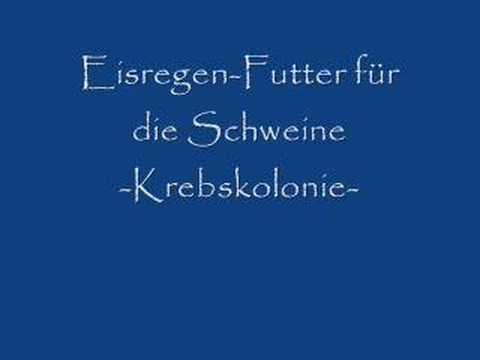 Youtube: Eisregen-Futter für die Schweine