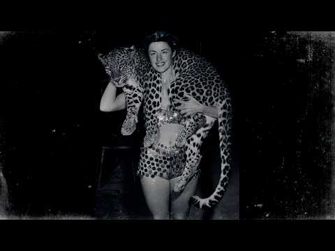 Youtube: Social Distortion - "Partners In Crime"