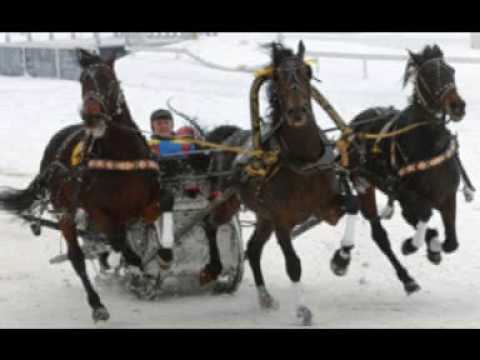 Youtube: Удивительные кони (С.Беликов)