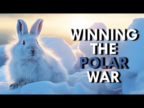 Youtube: How Arctic Hares Came To Rule The North Pole