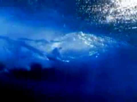 Youtube: boards of canada - dayvan cowboy