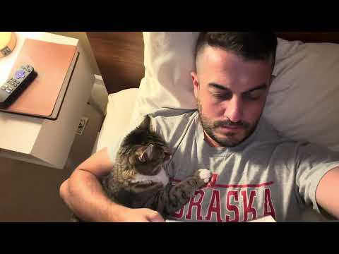 Youtube: Minnie whenever she sees me reading a book