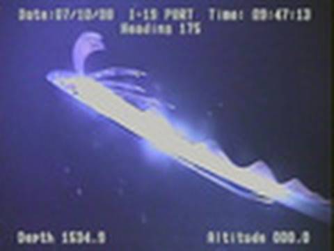 Youtube: Giant 'Sea Serpent' Caught on Camera