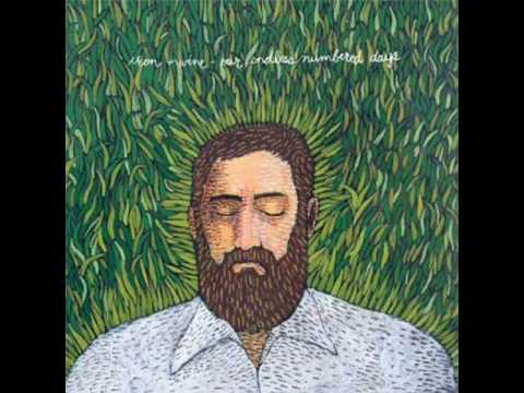 Youtube: Iron and Wine, Fever dream