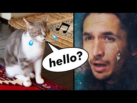 Youtube: The Kiffness x Lonely Cat - Sometimes I'm Alone (Singing Cat)